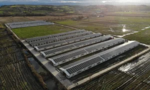 GTC güneş paneli_fabrikasi