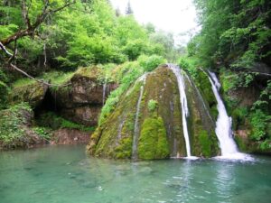 Küre Dağları Milli Parkı