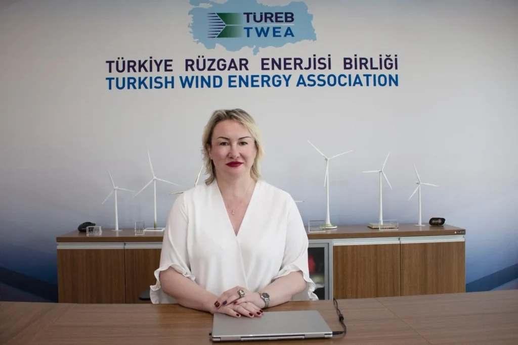 TÜREB Rüzgar Enerjisi Yatırımcı Rehberi