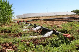 Şanlıurfalı çiftçi tarımsal sulama için güneş sistemi kurdu