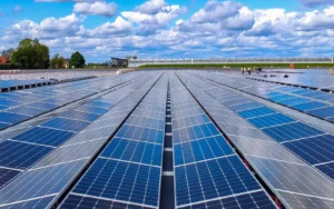 küresel yenilenebilir enerji kapasitesi