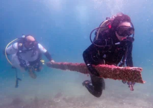 İş Bankası deniz temizliği Büyükada sürdürülebilirlik adımları Denizlerin Geleceği: Deniz Çayırları projesi