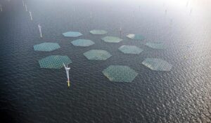 OranjeWind Yüzer Güneş Enerjisi Projesi Türkiye Yenilenebilir Enerji Gelişmeleri Rüzgar ve Güneş Enerjisinin Entegrasyonu