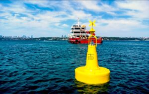 İstanbul Boğazı deniz çayırları koruma Marmara Denizi şamandıralama çalışması İş Bankası TÜDAV sürdürülebilirlik projesi