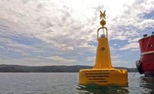 Güney Kore heyeti deniz çayırları incelemesi İstanbul Boğazı deniz çayırları koruma projesi TÜDAV ve İş Bankası denizlerin geleceği projesi